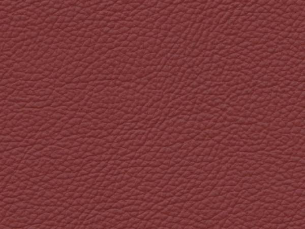 Basis für BMW taninrot Farbmuster