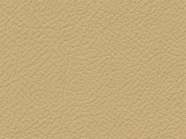 Basis for BMW lightgelb color sample