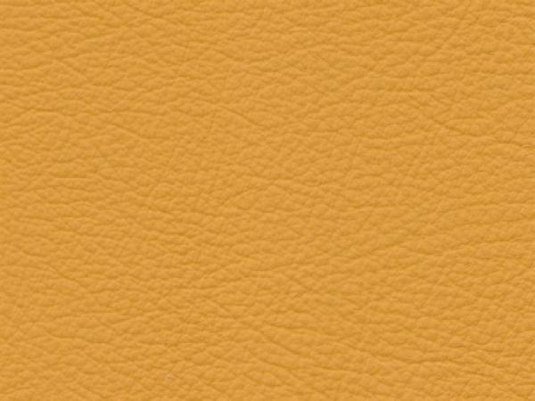 Basis for BMW maisgelb color sample