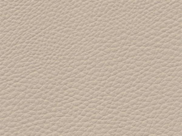 Basis für BMW cremebeige/saharabeige Farbmuster