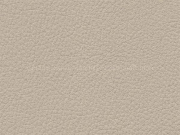 Basis for BMW Dakota creambeige/saharabeige SA color sample