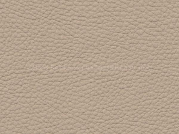 Basis für BMW venetobeige/veneto beige Dakota Farbmuster