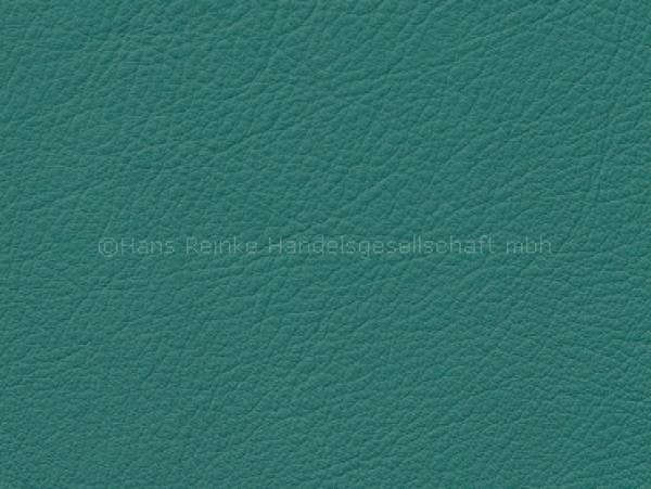 Semi H cactus color sample