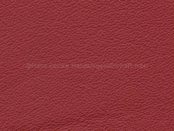 Standard himbeer color sample