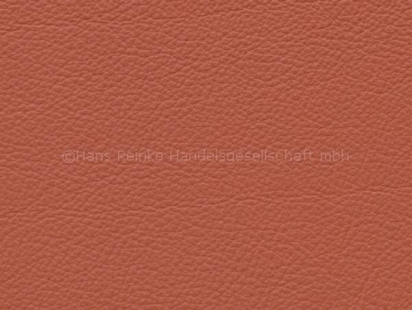 Standard korallenrot color sample