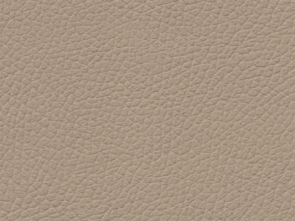 Basis for BMW Dakota savannabeige color sample