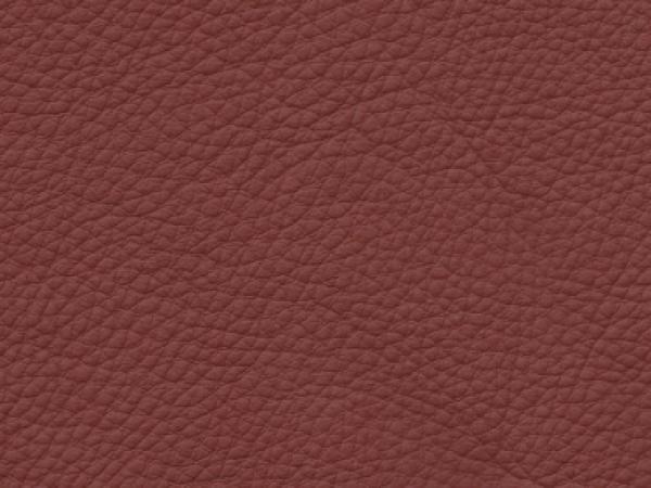 Basis für BMW Dakota rotbraun Farbmuster