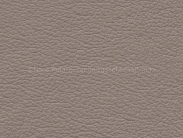 Basis Tec casablanca color sample