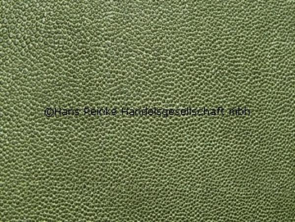 Skai Soshagro EN green-black 150 cm 30 lfm pro Rolle Farbmuster