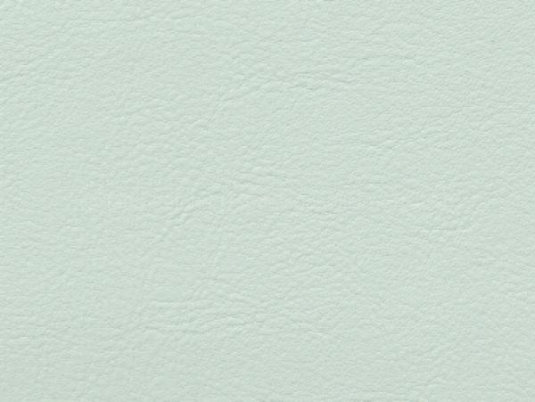 Skai Neptun-Caleri lightgreen 140 cm  30 lfm pro Rolle Farbmuster