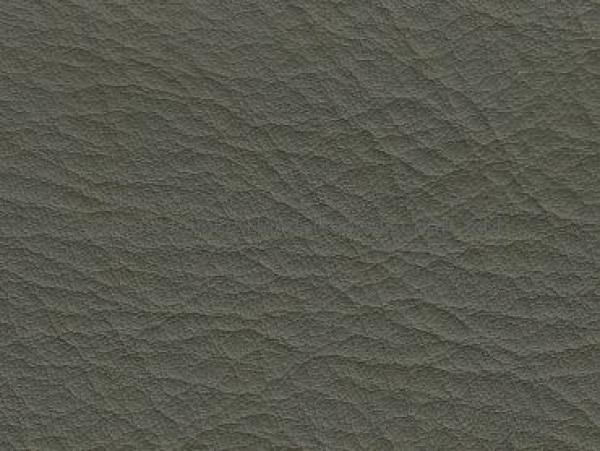 DB grün (helloliv) Kopffärbung vegetabil Farbmuster