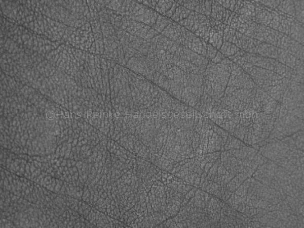 Skai Evida anthracite 137 cm  30 lfm pro Rolle Farbmuster