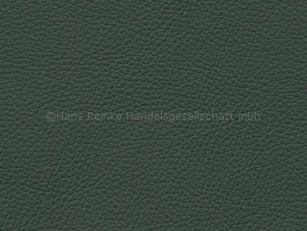 Royal forest color sample