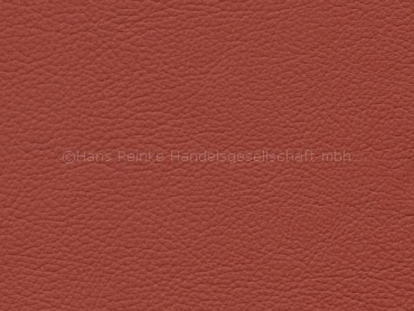 Royal koralle Farbmuster