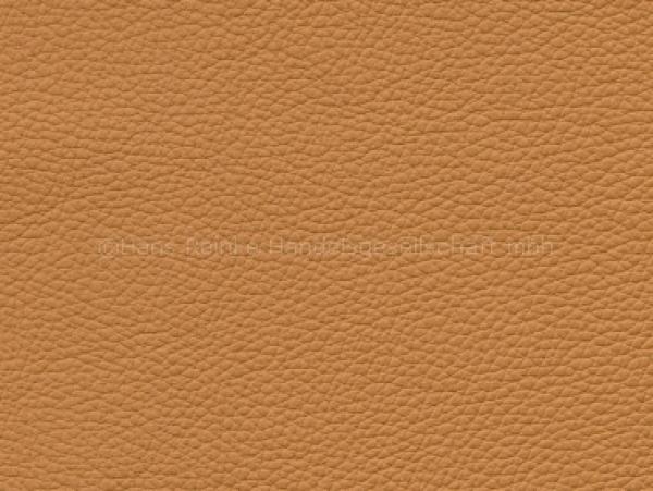 Royal gold Farbmuster