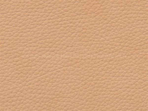 Prince camel 140 cm  30 lfm pro Rolle Farbmuster